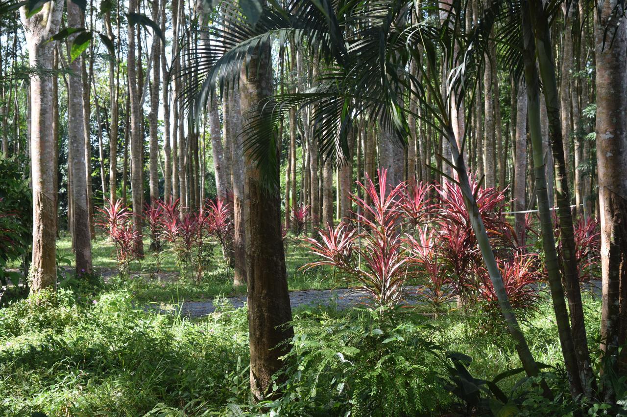 Manora Garden Hotel Phang Nga Luaran gambar